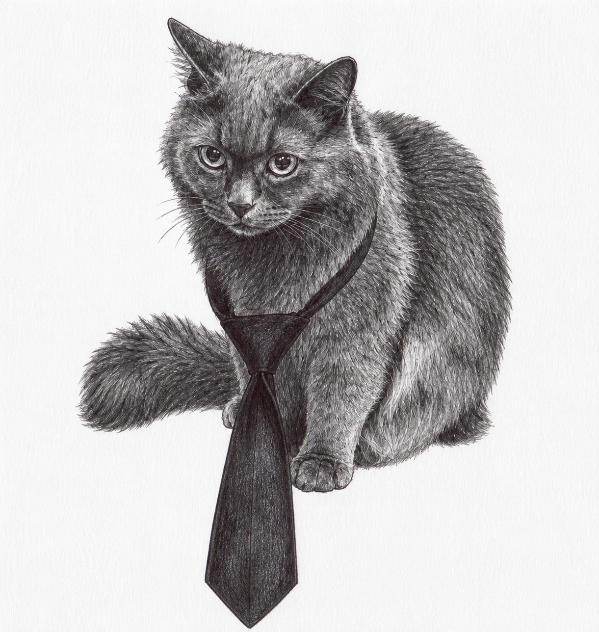 gpt-image-2 render: Centered Cat Portrait in Faithful Reference Illustration Style