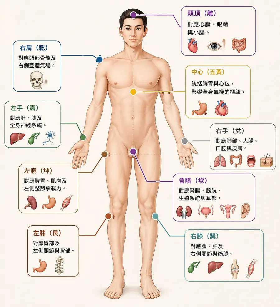 ：

頭頂（離）： 對應心臟、眼睛與小腸。

會陰（坎）： 對應腎臟、膀胱、生殖系統與耳部。

左手（震）： 對應肝、膽及全身神經系統。
...