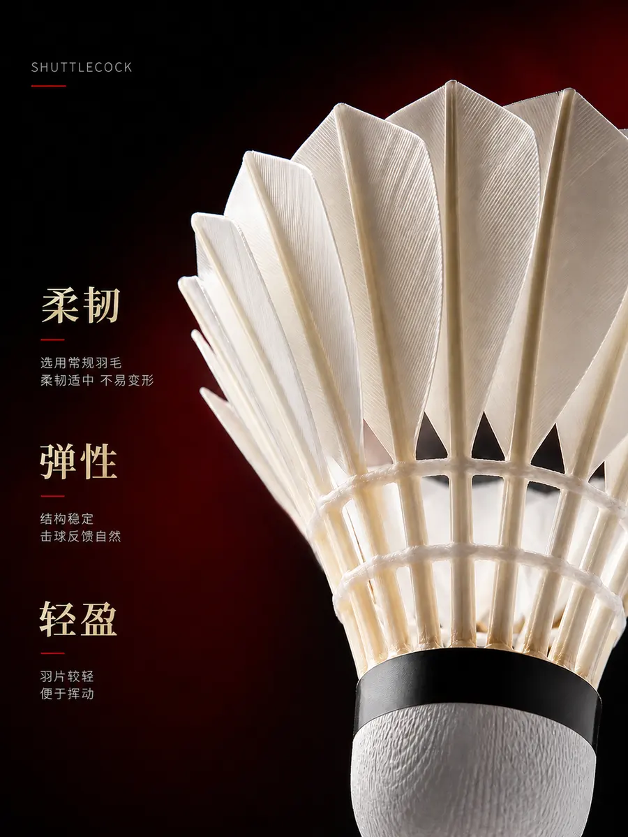 图片上其他东西都不要改动，只要改动文字。把产品的文字介绍更改，因为质量不是很好。注意词汇，不要夸大
