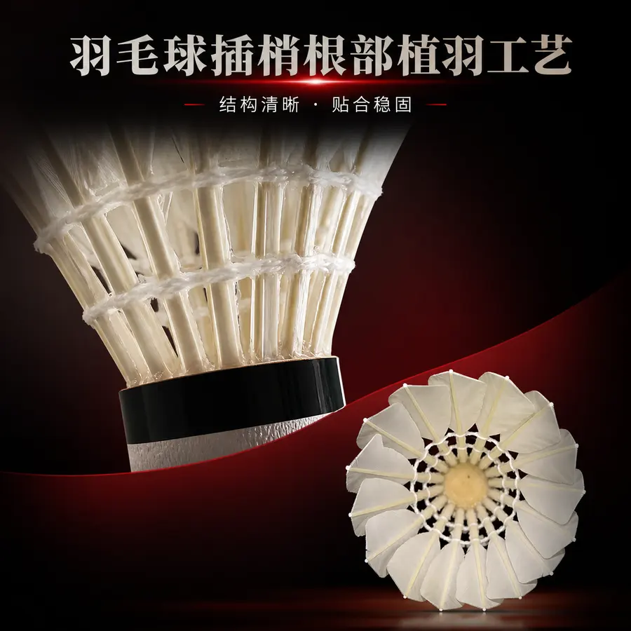 图片为介绍羽毛球插梢根部植毛特写，做电商主图，pdd用，整体 红黑柔光配色，要有质感高端。两张图片合并使用，要高级，文字介绍高于羽毛球插梢根植羽毛工艺，词...