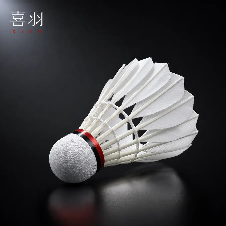 做电商商品主图，图片上的物品布局和和角度可以进行适当的更改，图片为冷白柔光黑白红配色，重点突出羽毛球，羽毛球的羽毛要清晰，图片要有设计点，有高端专业，品牌...