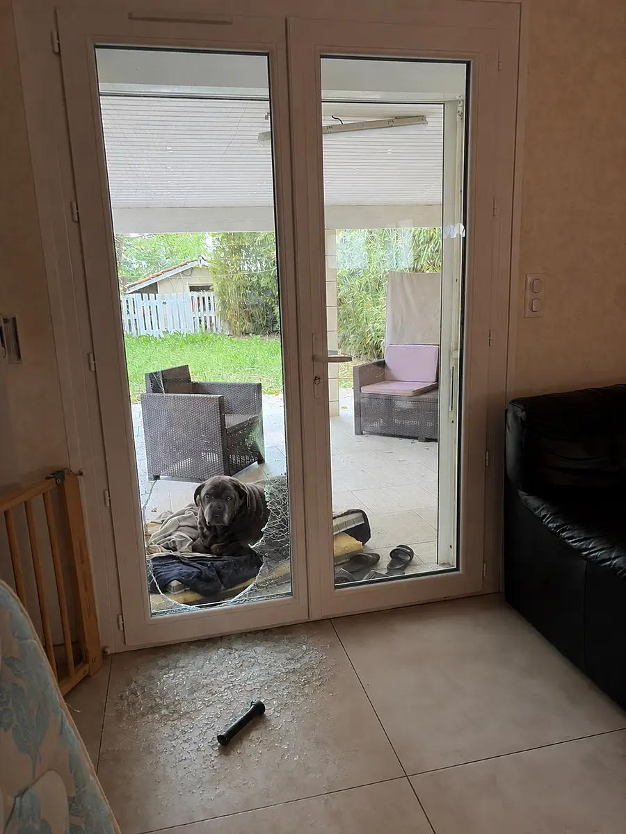 Casse la vitre à gauche mais un casse vitre parterre et fais style le chien a...