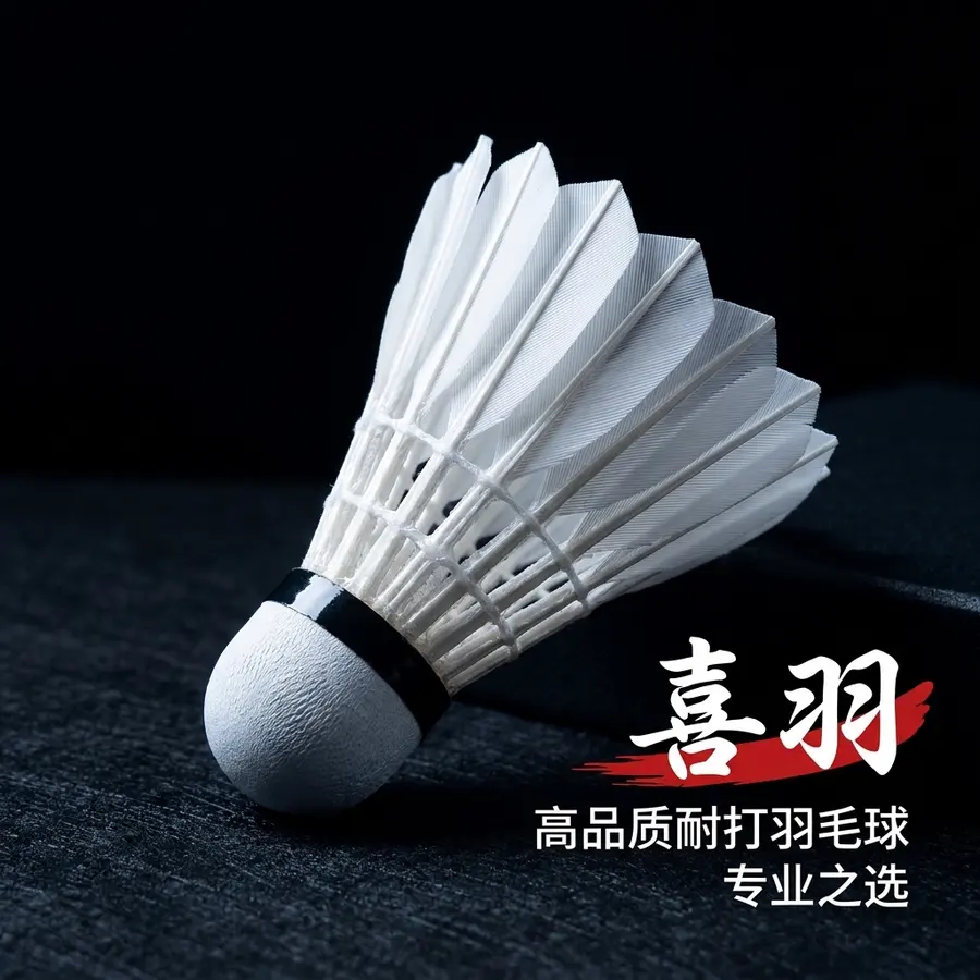 做电商拼多多的商品主图，图片上的物品布局和和角度可以进行适当的更改，图片为冷白柔光黑白红配色，有高端专业，品牌是喜羽，背景要深色系，产品的文字介绍可以适当...