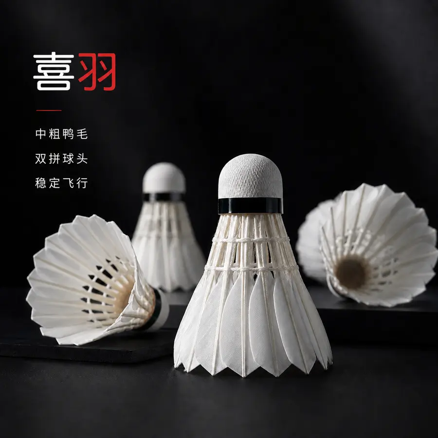 把图片上的文字’清晰羽毛'改成‘双拼球头’。把‘专业训练’改成‘稳定飞行‘