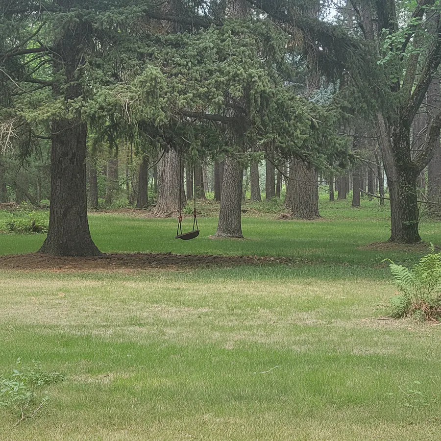 Can you make the picture more forest like but keep the swing